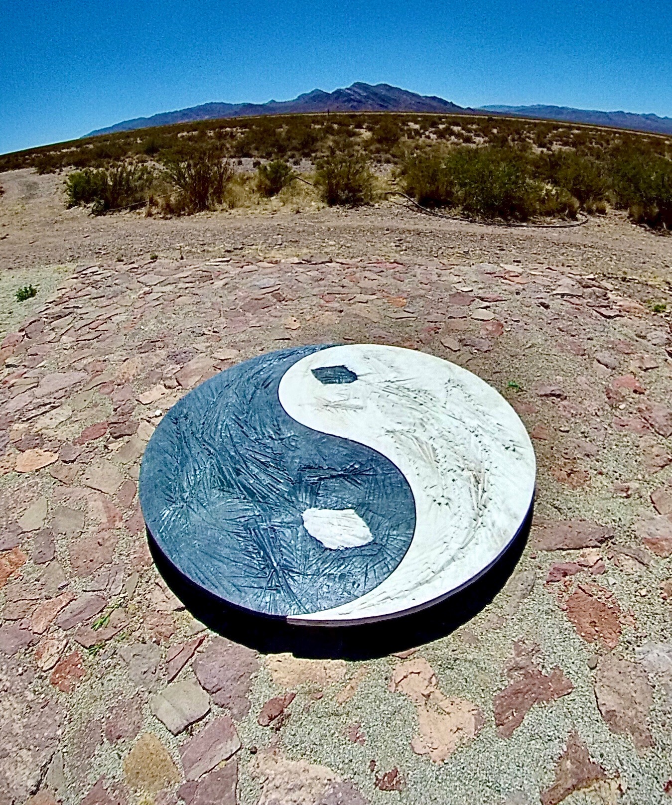 Yin Yang Americano