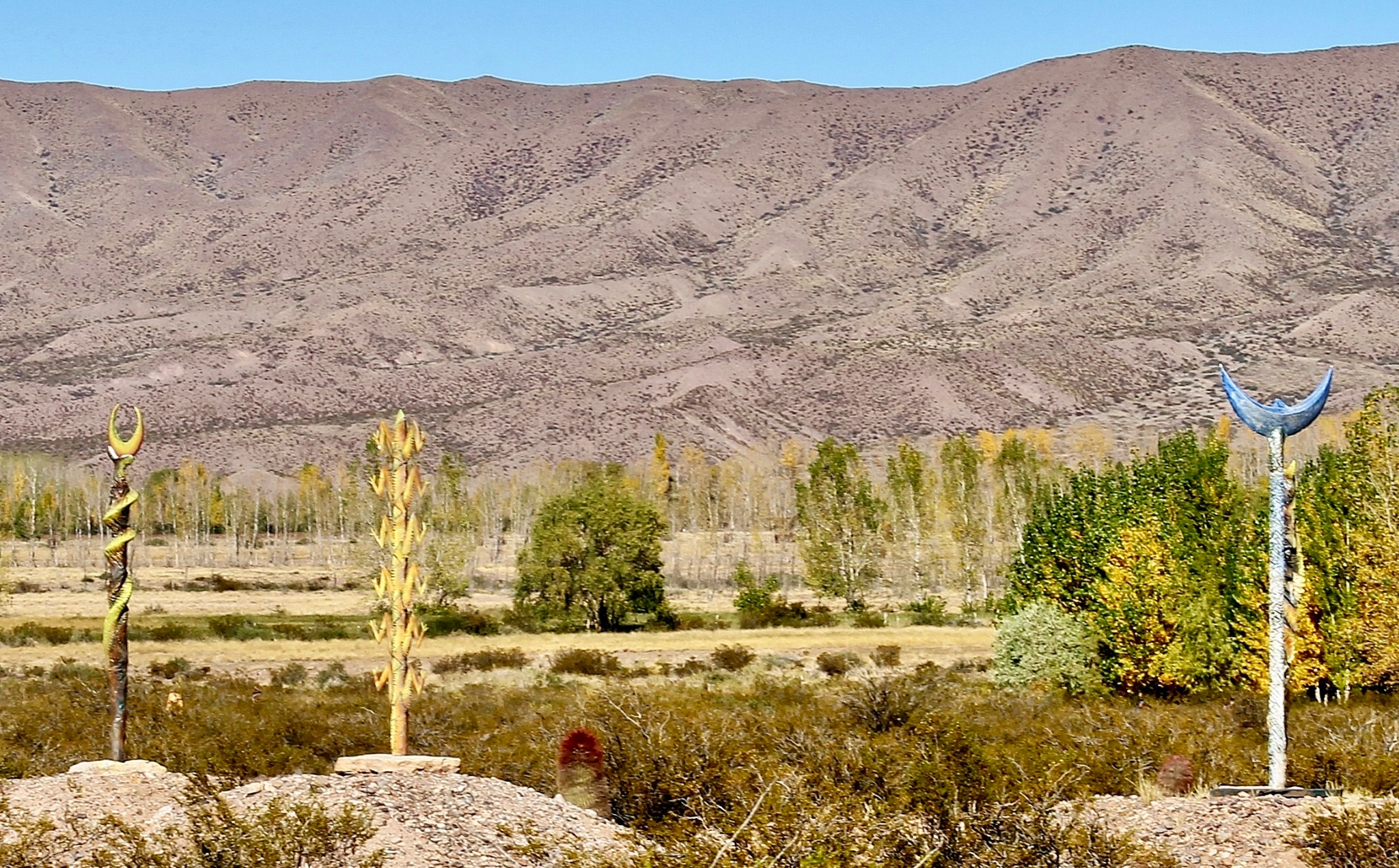 La Cruz del Sur