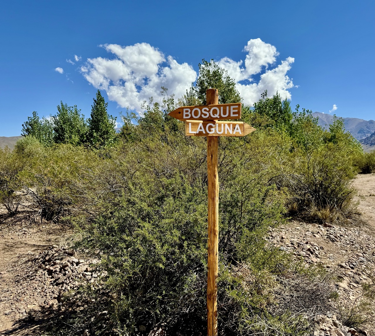 Bosque Circular